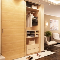 Modern wardrobe in living room